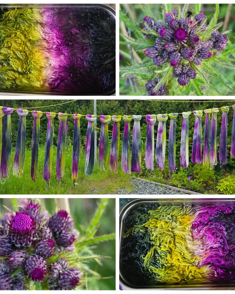 Thistle Yarn preorder - Chunky
