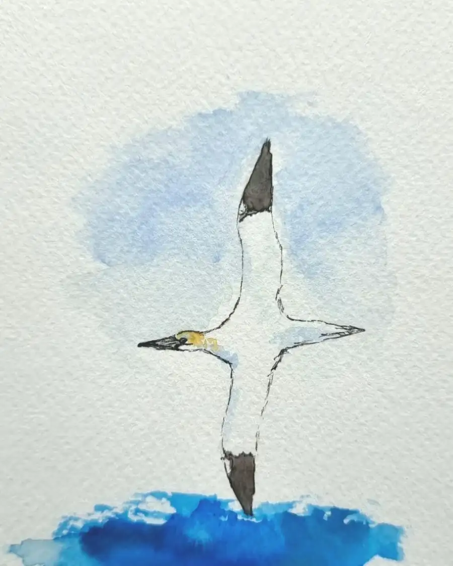 Mini Original Watercolour of a Gannet